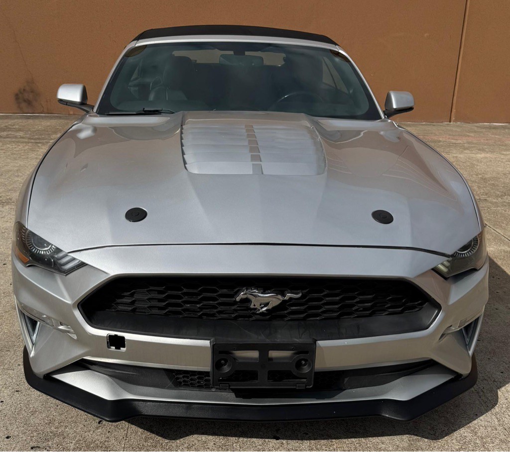 2019 Ford Mustang Image 7