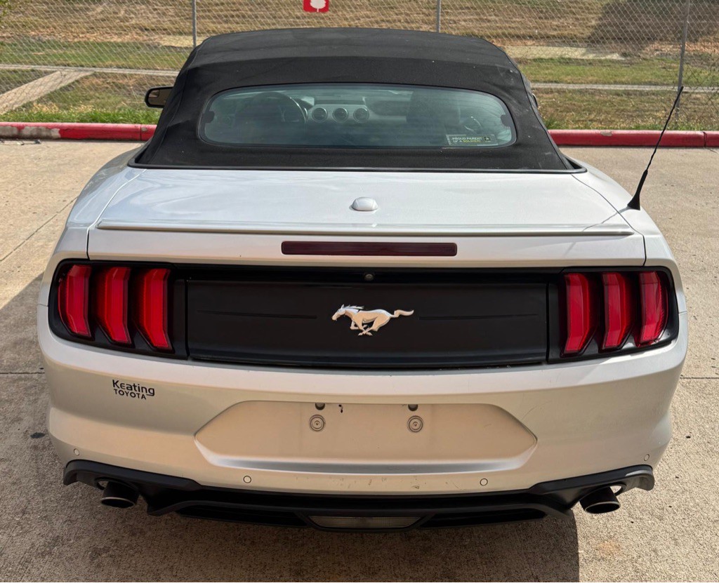 2019 Ford Mustang Image 8