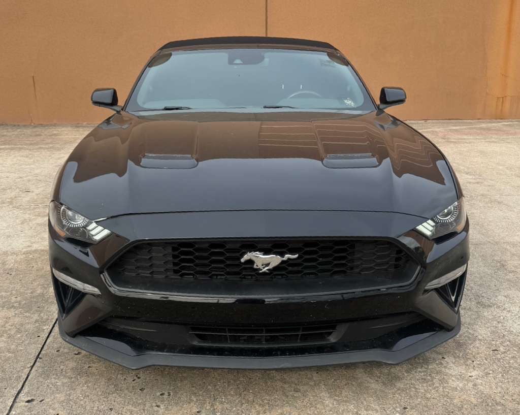 2022 Ford Mustang Image 5
