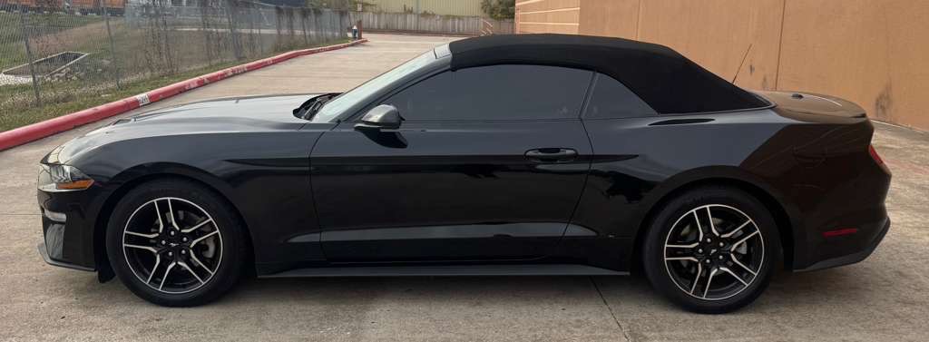 2022 Ford Mustang Image 8