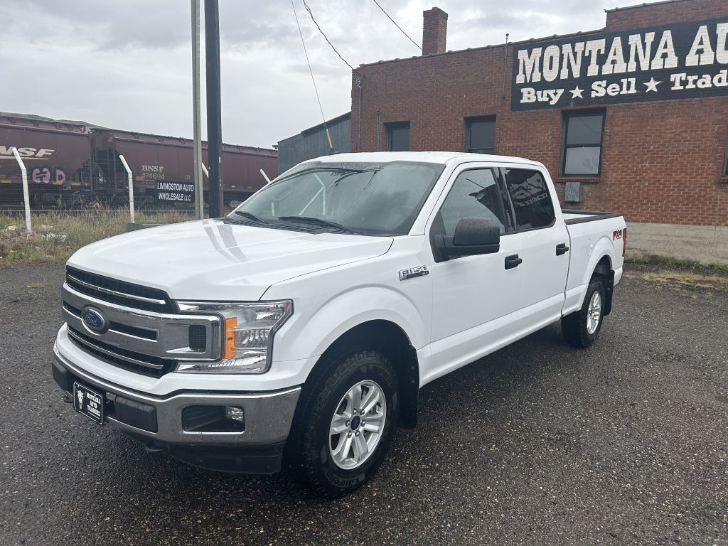 2019 Ford F-150 Image 2