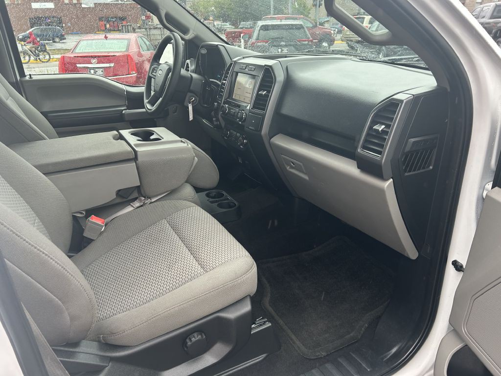 2019 Ford F-150 Image 8