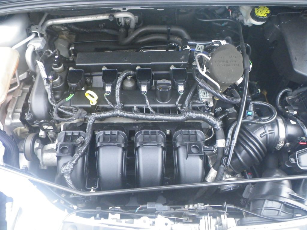 2015 Ford Focus Image 18