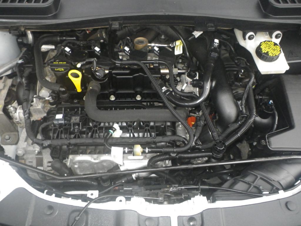 2019 Ford Escape Image 18