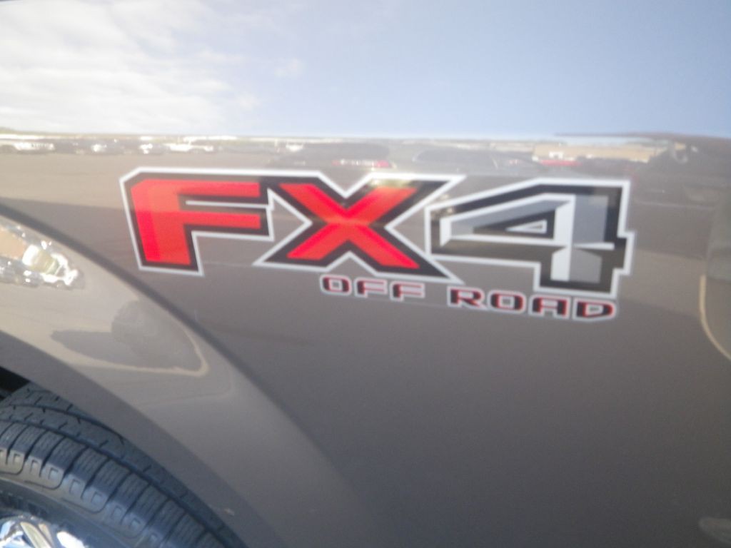 2015 Ford F-150 Image 8