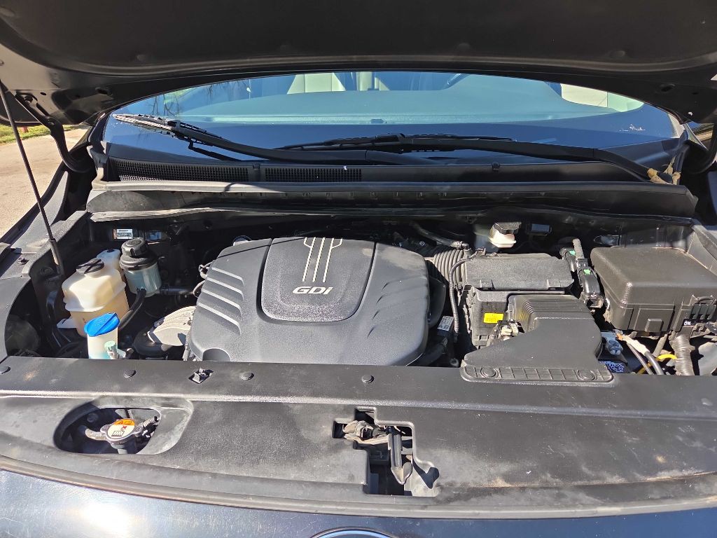 2017 Kia Sedona Image 10