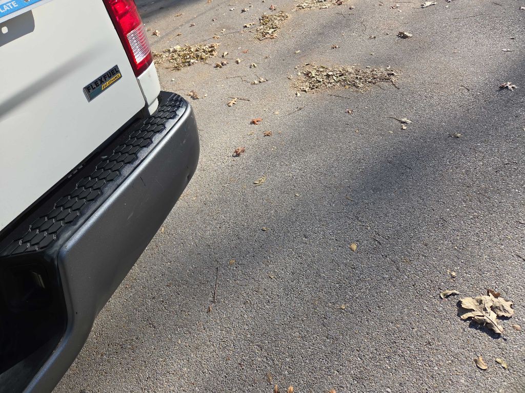 2009 Dodge Ram 1500 Image 15