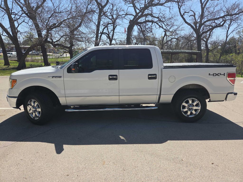 2014 Ford F-150 Image 3
