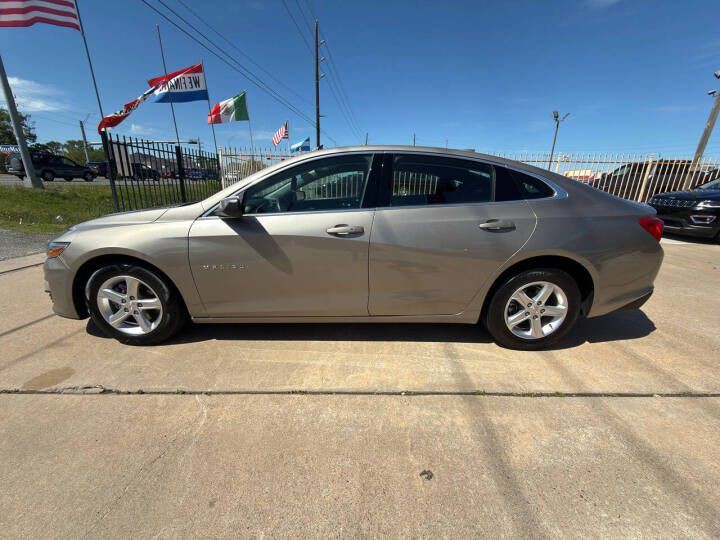 2024 Chevrolet Malibu Image 5