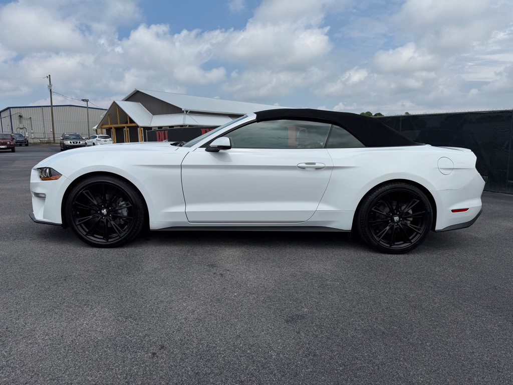 2020 Ford Mustang Image 5