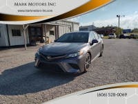 Image for 2019 Toyota Camry XLE ID: 6899760
