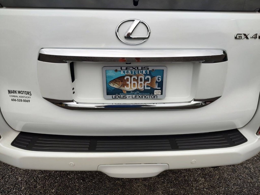 2013 Lexus GX 460 Image 14