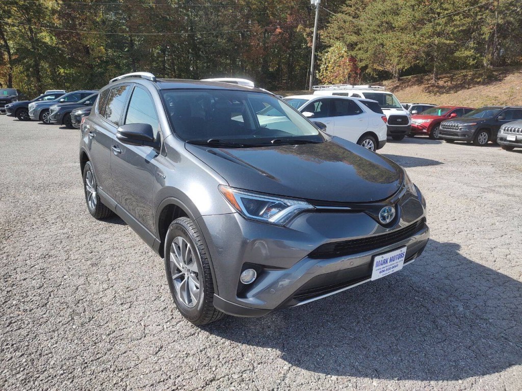 2016 Toyota Rav4 Image 4
