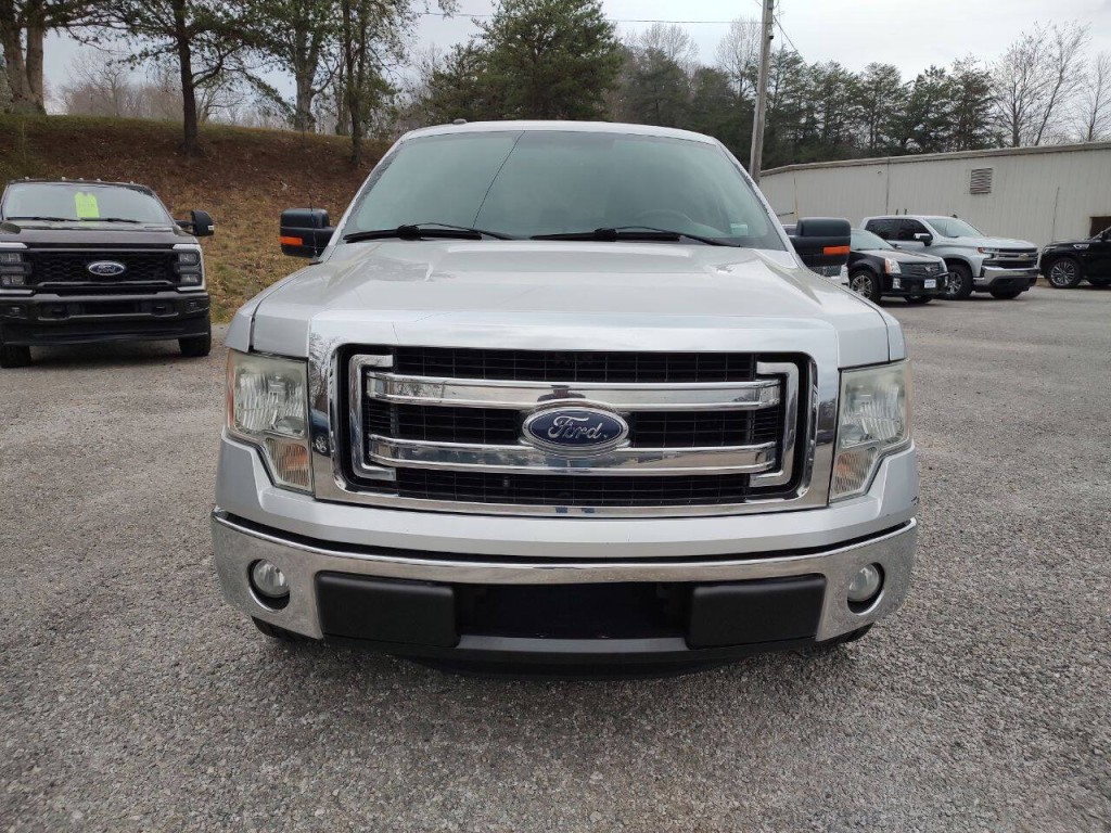 2013 Ford F-150 Image 3