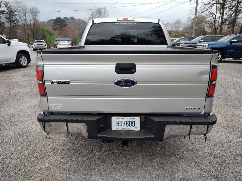 2013 Ford F-150 Image 6