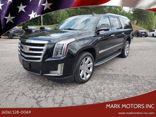 Image for 2016 Cadillac Escalade Luxury Collection ID: 7401825