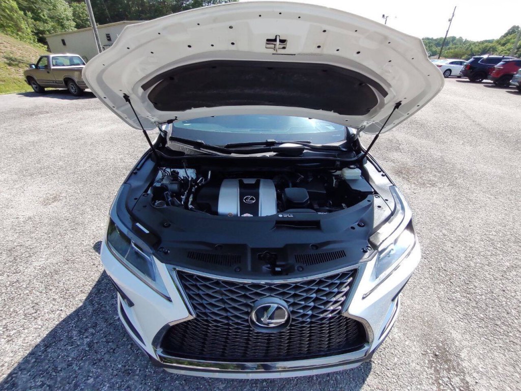 2020 Lexus RX 350 Image 11