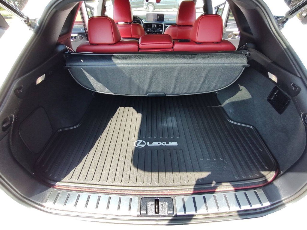 2020 Lexus RX 350 Image 19