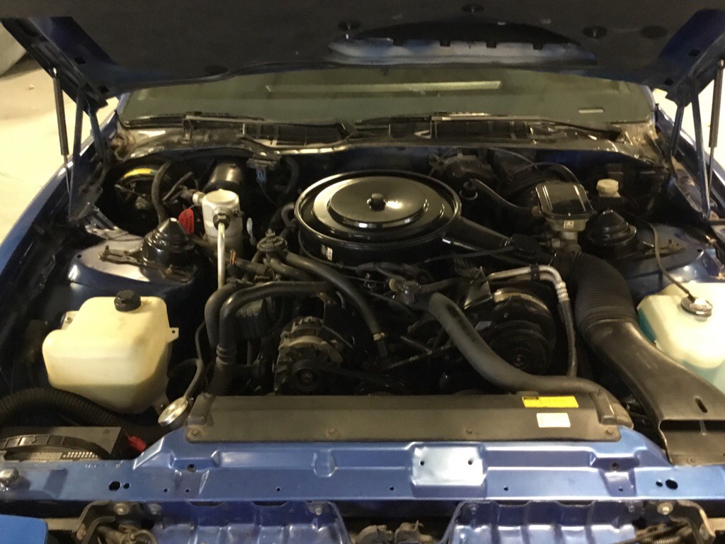 1987 Pontiac Firebird Image 20