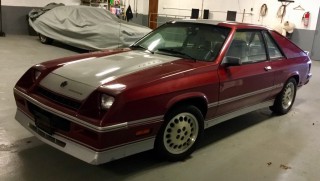 Image for 1985 Dodge Charger Shelby Turbo ID: 6838910
