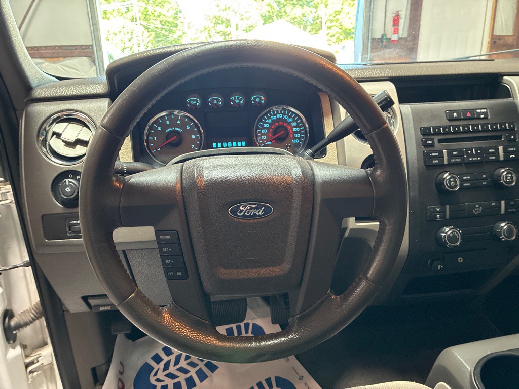 2010 Ford F-150 Image 19