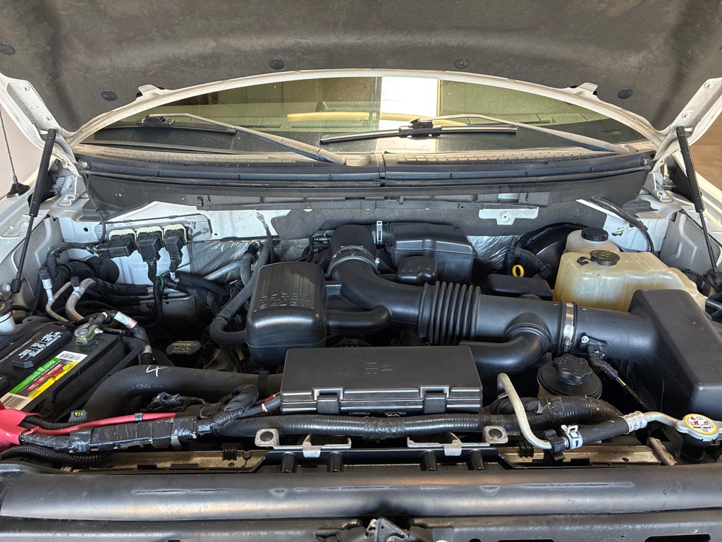 2010 Ford F-150 Image 30