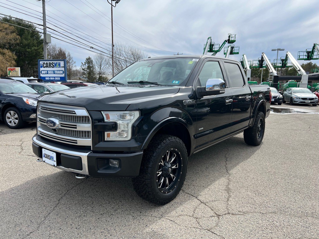 2015 Ford F-150 Image 1