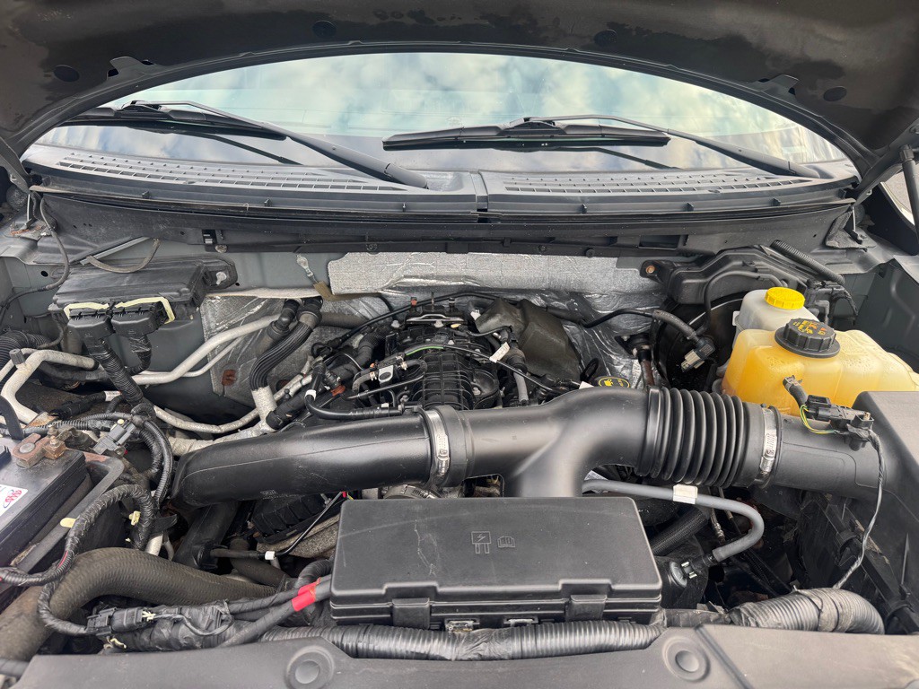 2014 Ford F-150 Image 11