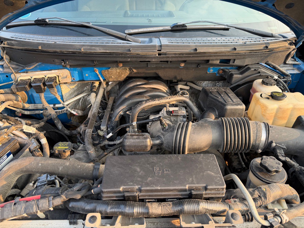 2010 Ford F-150 Image 11