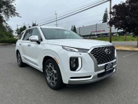 Image for 2021 Hyundai Palisade Calligraphy ID: 5800482