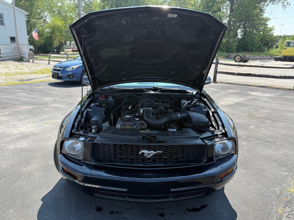 2009 Ford Mustang Image 2