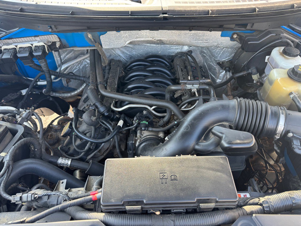 2013 Ford F-150 Image 13