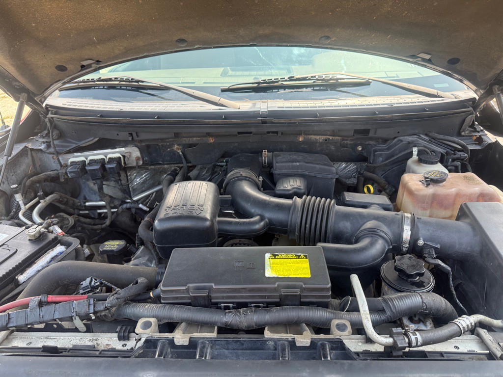 2010 Ford F-150 Image 14