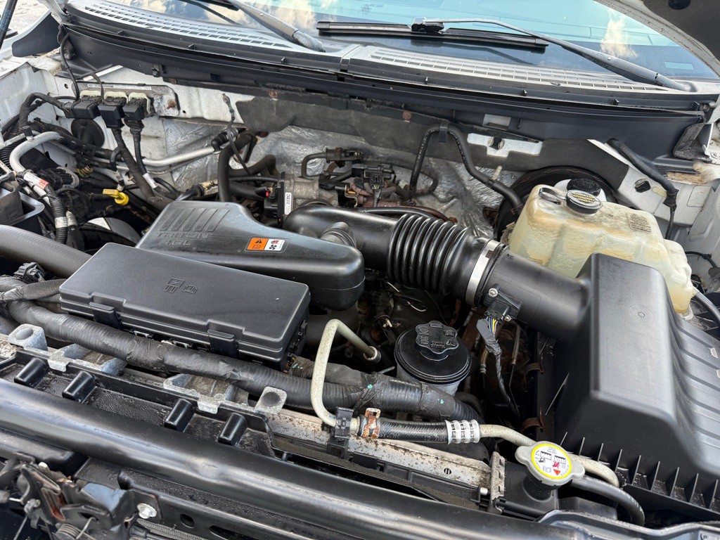 2010 Ford F-150 Image 18