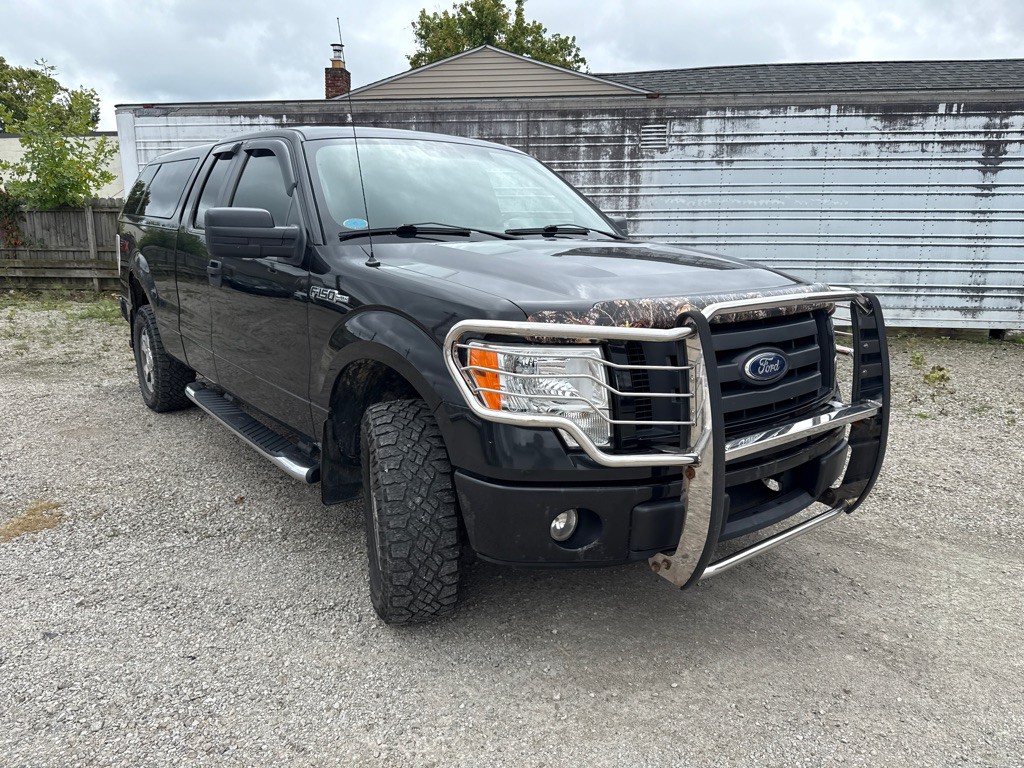 2010 Ford F-150 Image 3