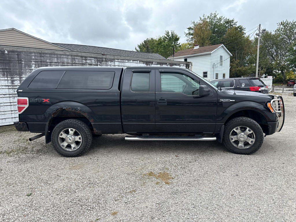 2010 Ford F-150 Image 4