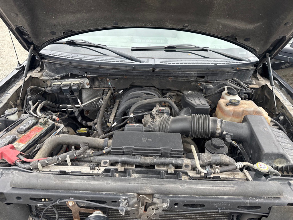 2010 Ford F-150 Image 16