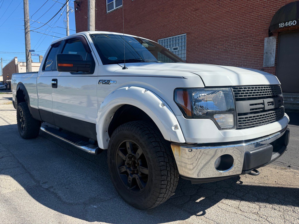 2010 Ford F-150 Image 1