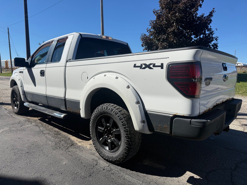 2010 Ford F-150 Image 4
