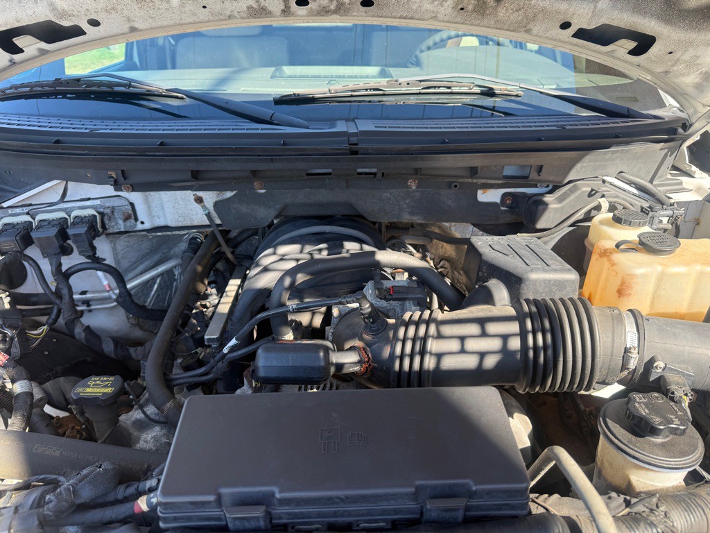 2010 Ford F-150 Image 14
