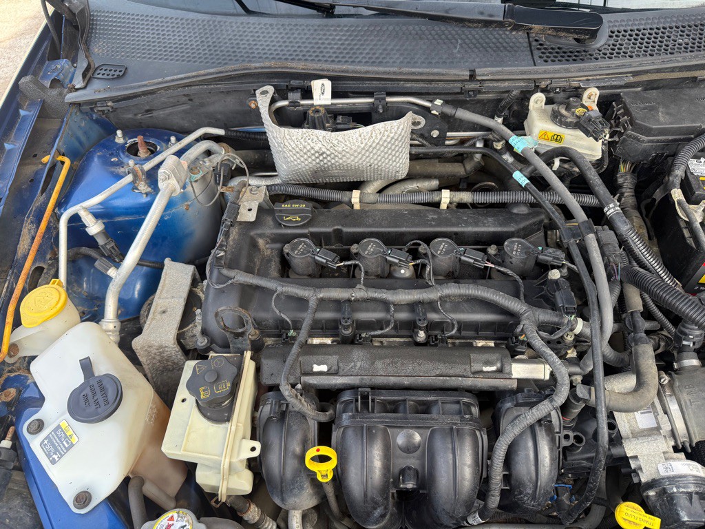 2010 Ford Focus Image 15