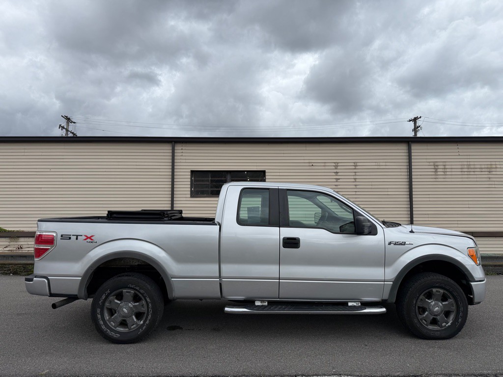 2010 Ford F-150 Image 2