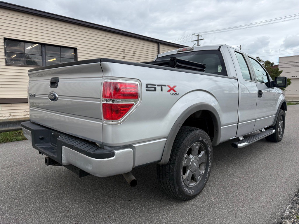 2010 Ford F-150 Image 3