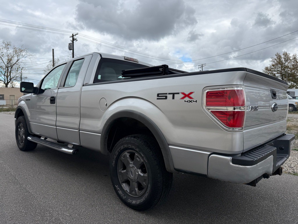 2010 Ford F-150 Image 4