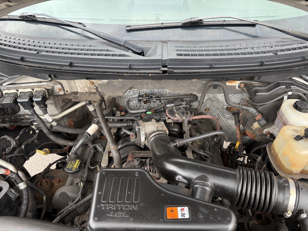 2010 Ford F-150 Image 14