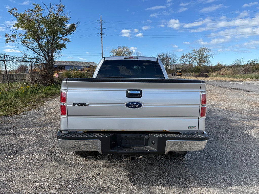 2010 Ford F-150 Image 4