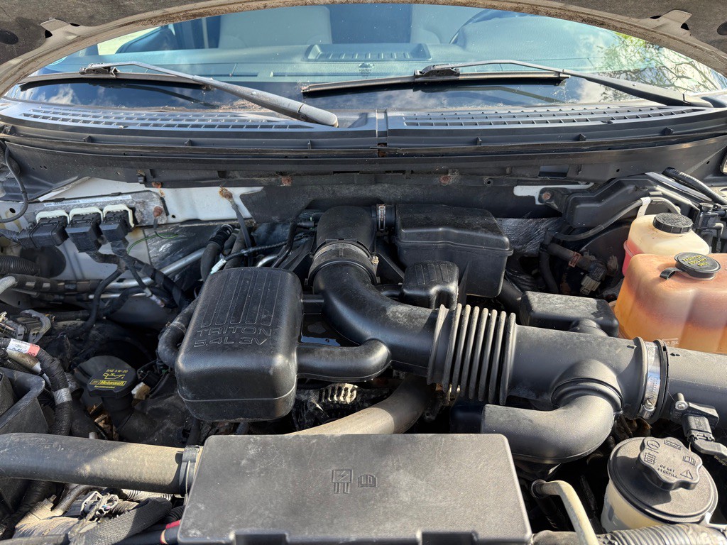 2010 Ford F-150 Image 15