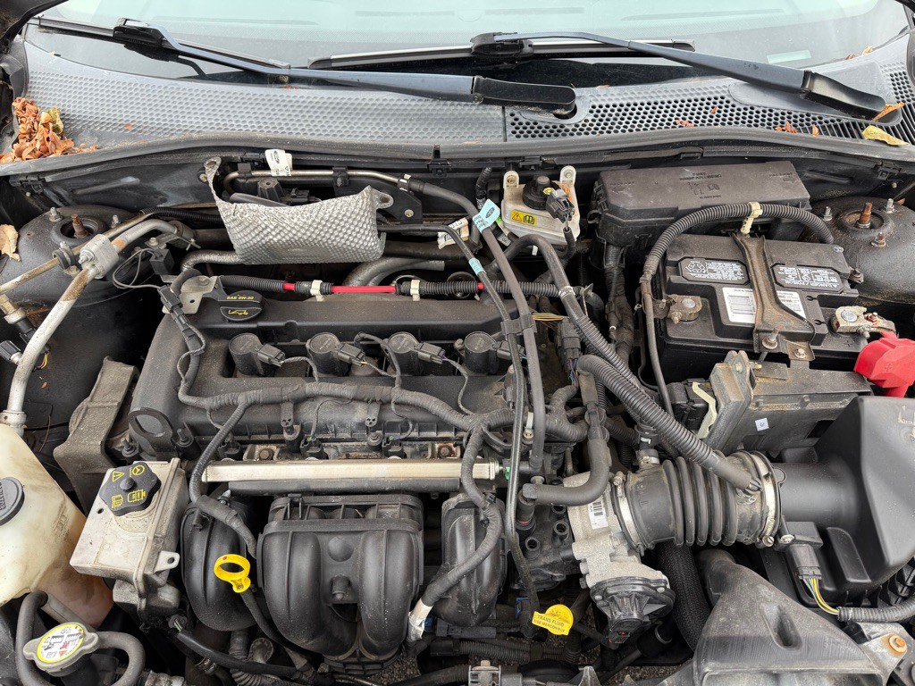 2008 Ford Focus Image 14