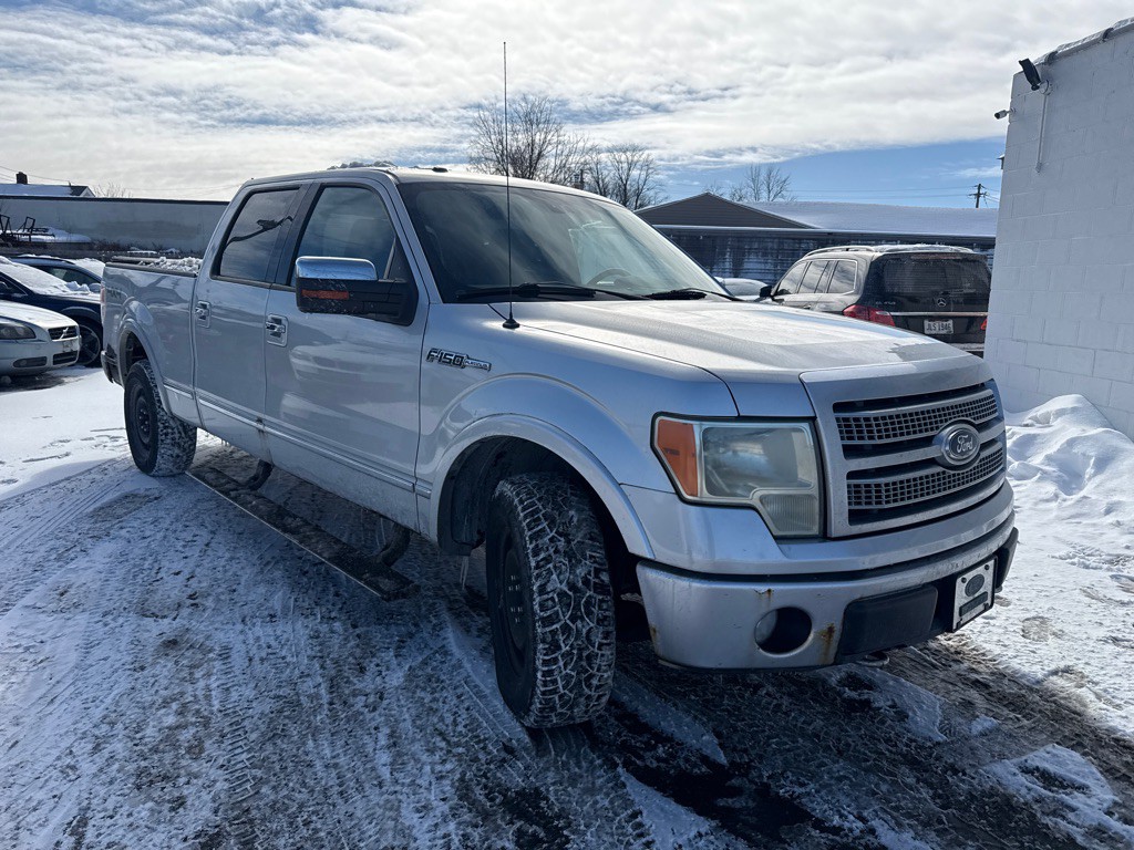 2010 Ford F-150 Image 3