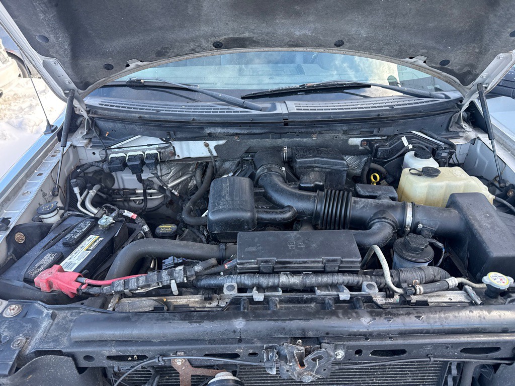 2010 Ford F-150 Image 19